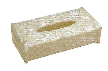 NA-008